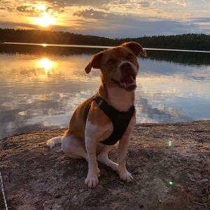 Meet your Posher, Sheena